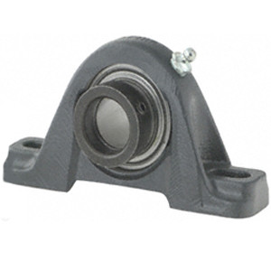  RAS1 1/4 PT Pillow Block Bearings