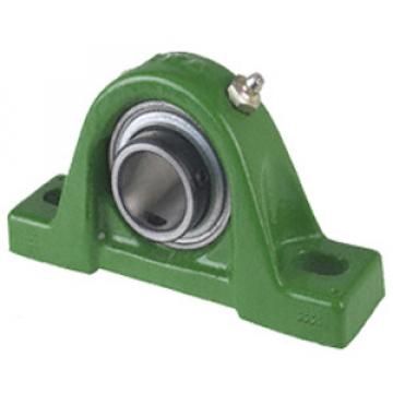  RASEY40-N Pillow Block Bearings