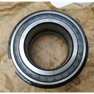 SL045010 PP 2NR INA Cylindrical Roller Bearings