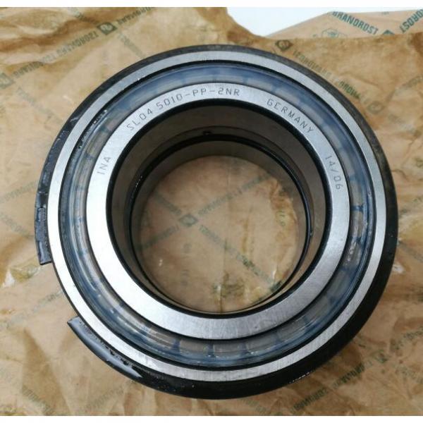 SL045010 PP 2NR INA Cylindrical Roller Bearings #1 image